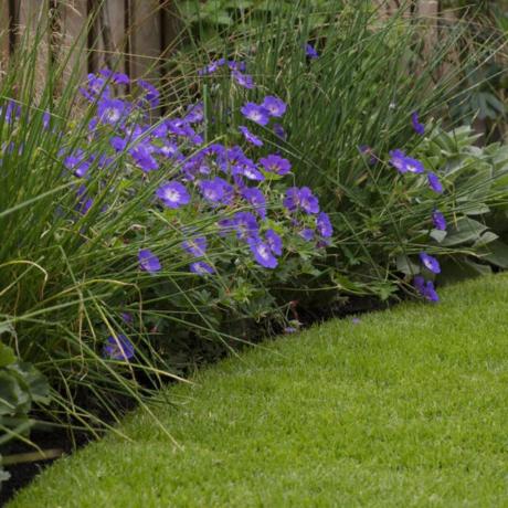 Kuinka parantaa nurmikon kuivatusta: 9 tapaa estää sadevaurioita