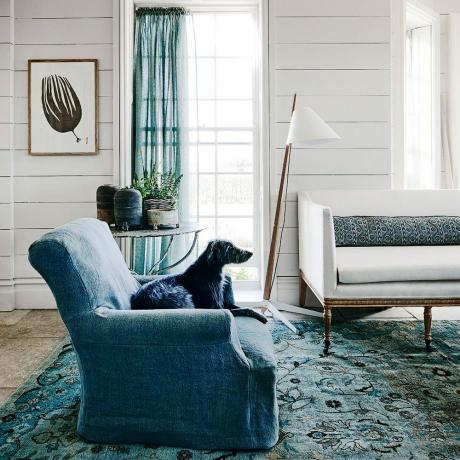 Skromny salon z niebieską sofą i zasłoną