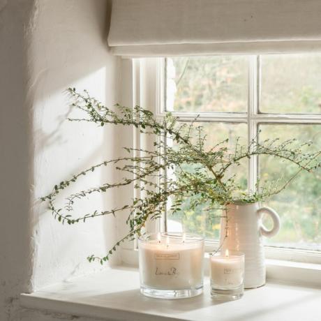 אדן החלון ב-Homestays הייחודי x נכס The White Company Fable, עם צמח ונר