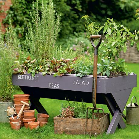 Ιδέες για τον κήπο με βότανα - δημιουργήστε τον κήπο με βότανα ενός μάγειρα που θα χρησιμοποιήσετε πραγματικά