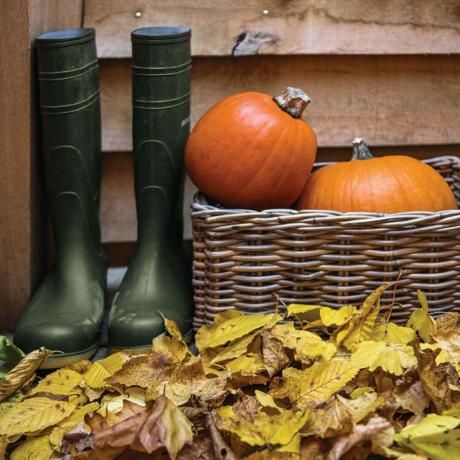 Een paar rubberlaarzen, een mand met pompoenen en gedroogde herfstbladeren op de stoep buiten een met hout bekleed gebouw.