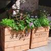 Hozzon létre egy nyári ültetvényt, amelyet a nyertes Chelsea kerttervező inspirált
