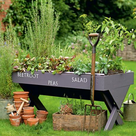 Γιατί η κηπουρική είναι καλή για την υγεία σας - Άσκηση στον κήπο - Υγιής κήπος