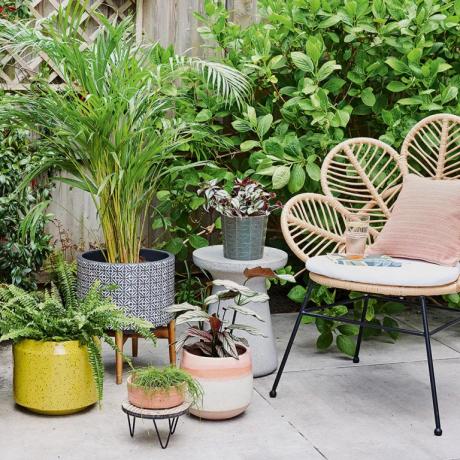 29 jednoduchých nápadov na záhradu-jednoduché aktualizácie s nízkymi nárokmi na údržbu, ktoré premenia váš vonkajší priestor
