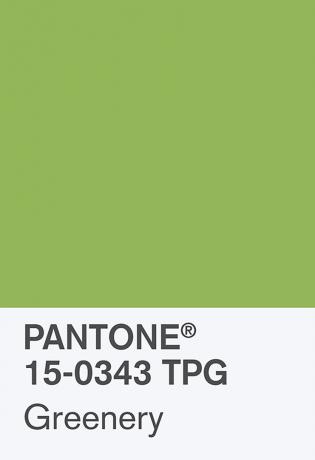 Како украсити Пантоне -овом бојом године 2017.: Зеленило