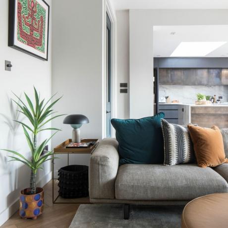 Pilka sofa su spalvotomis pagalvėlėmis, šoninis staliukas, kambarinis augalas, pakabinami meno kūriniai