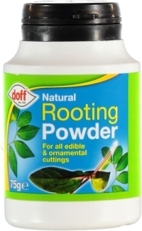 Doff Hormon Rooting Powder | nu £5,90 för två på Amazon