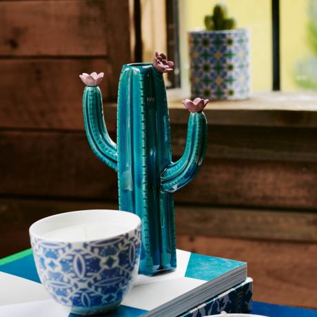 Predaj kaktusového domáceho tovaru tento rok v lete v Sainsbury's Home prudko narastá