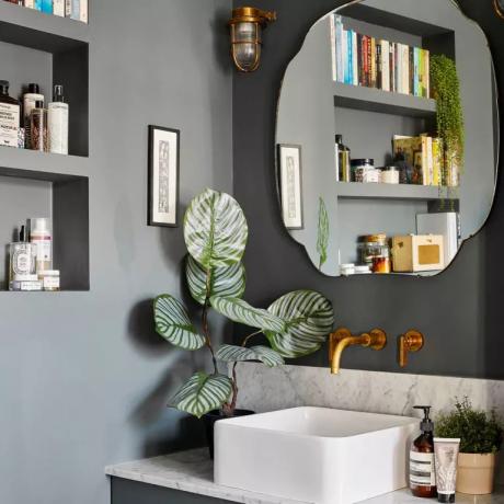 grått badrum med utsmyckad spegel, krukväxt och bokhylla - Chris Snook