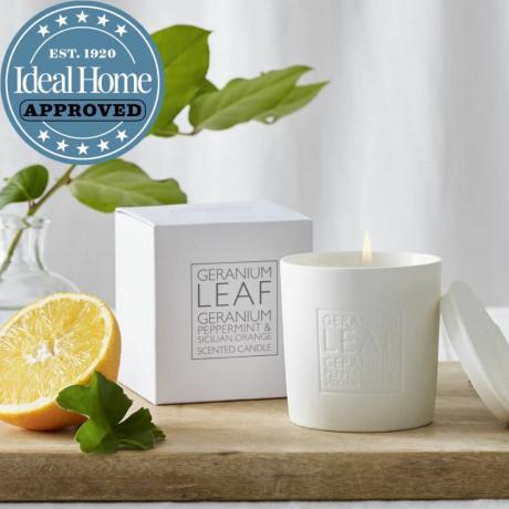 Valkoinen yrityksen Geranium Leaf Candle