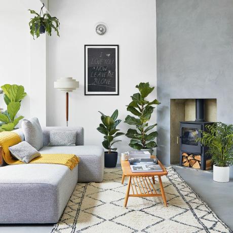 Siva dnevna soba sa žutim ukrasima, berberskim tepihom i biljkama u saksijama