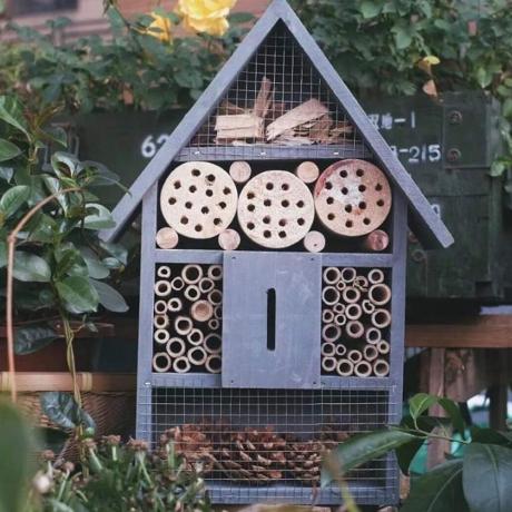 hotel de abejas en un jardín con plantas - Amazon