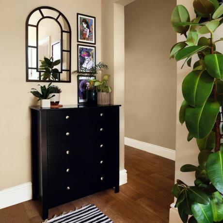 Czarne szuflady z wiszącym lustrem i artystycznymi nadrukami, ozdobione roślinami doniczkowymi