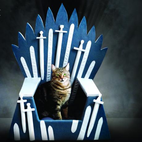 Você já viu a cama de gato de Games of Thrones? O Trono de Ferro felino é positivamente perfeito