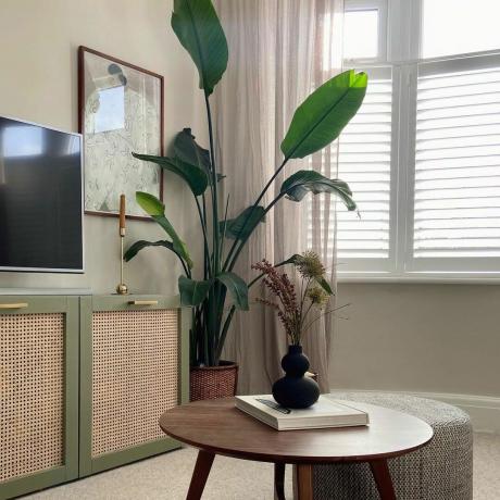 Grönmålad TV-enhet med rottingdörr och runt soffbord