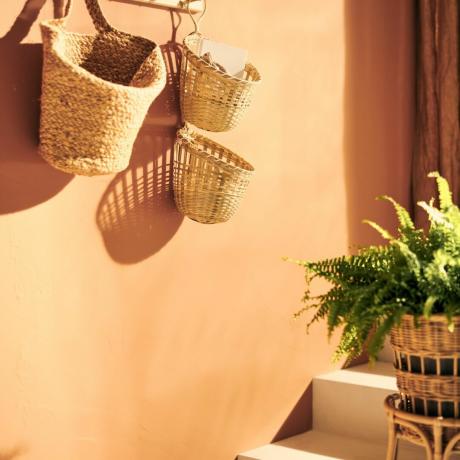 smėlio spalvos kambarys su rotango augalų vazonais ir augalų pakabomis ant sienos